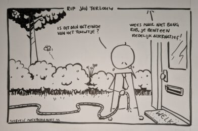 redelijk alternatief