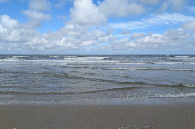 Texel